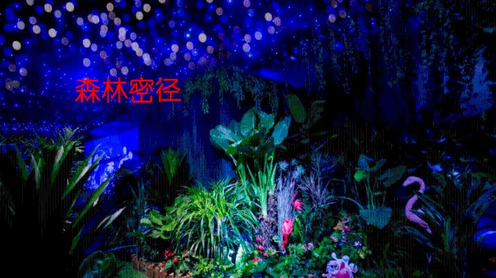 玛丽皇后的时装